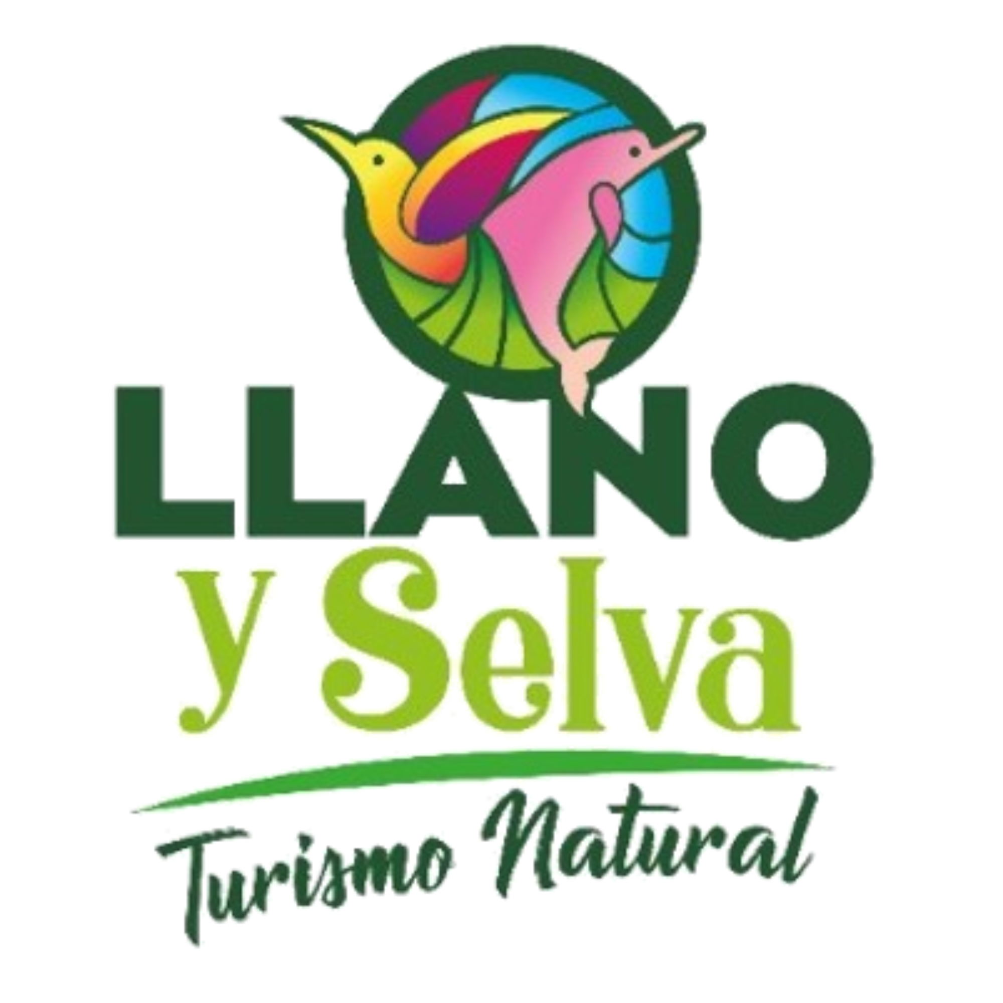 Llano y Selva