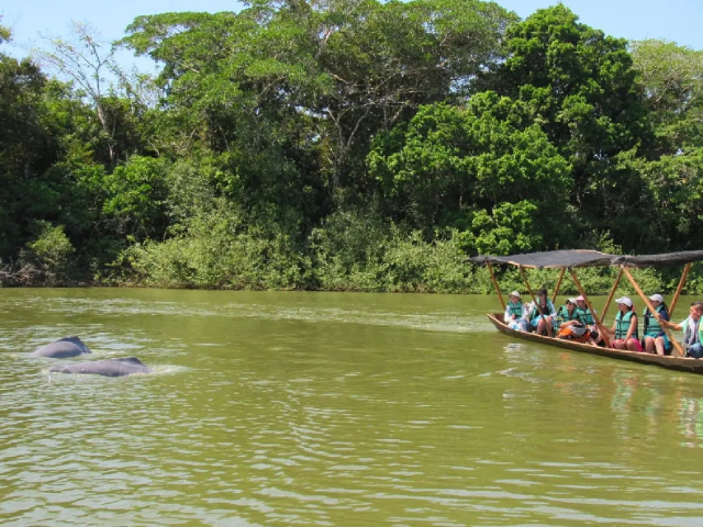 Experiencia de Nare y Delfines en San José del Guaviare