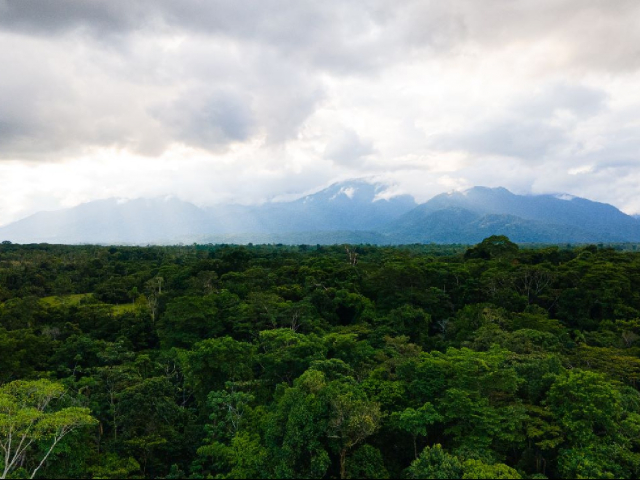Oferta Putumayo: los caminos del piedemonte amazónico