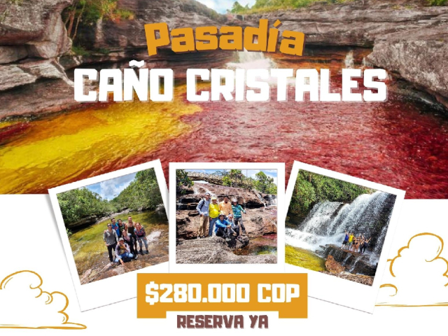 PASADIA CANO CRISTALES $280.000